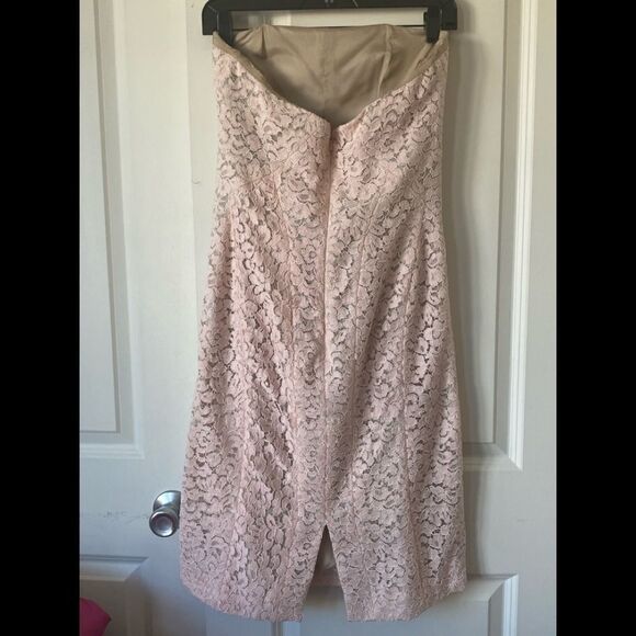 Corded Lace Sheath J. Mendel  color Blush - Picture 8 of 10